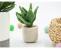 Felt Succulent