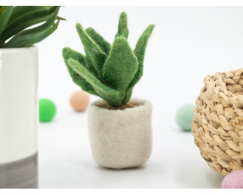 Felt Succulent