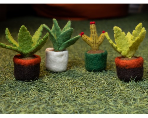 Felt Succulent