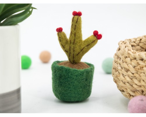 Felt Succulent