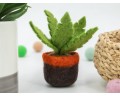 Felt Succulent