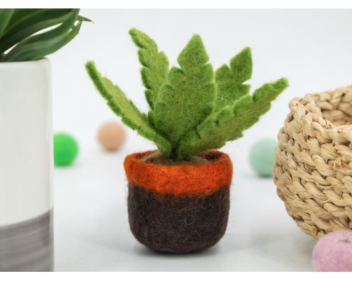 Felt Succulent