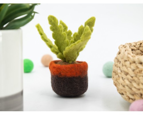 Felt Succulent