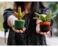 Felt Succulent