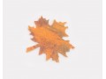 10cm Felt Maple Leaves