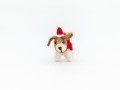 9cm Felt Dog Santa Hat with Red Scarf