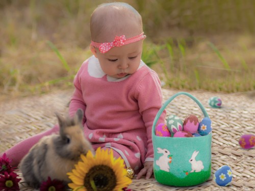 15cm Felt Easter Basket with 5pcs Easter Egg
