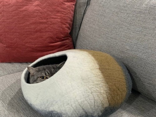 Three Color Felt Cat Cave