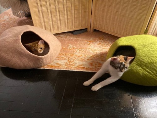 Peach Toned Wool Felt Cat Cave