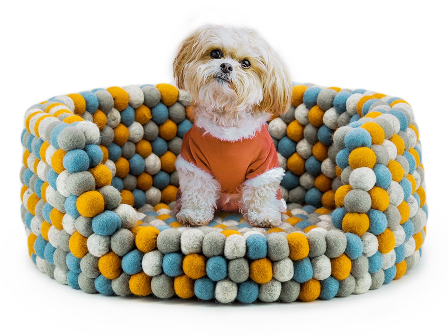 Felt Multicolor Dog Bed - With Dog