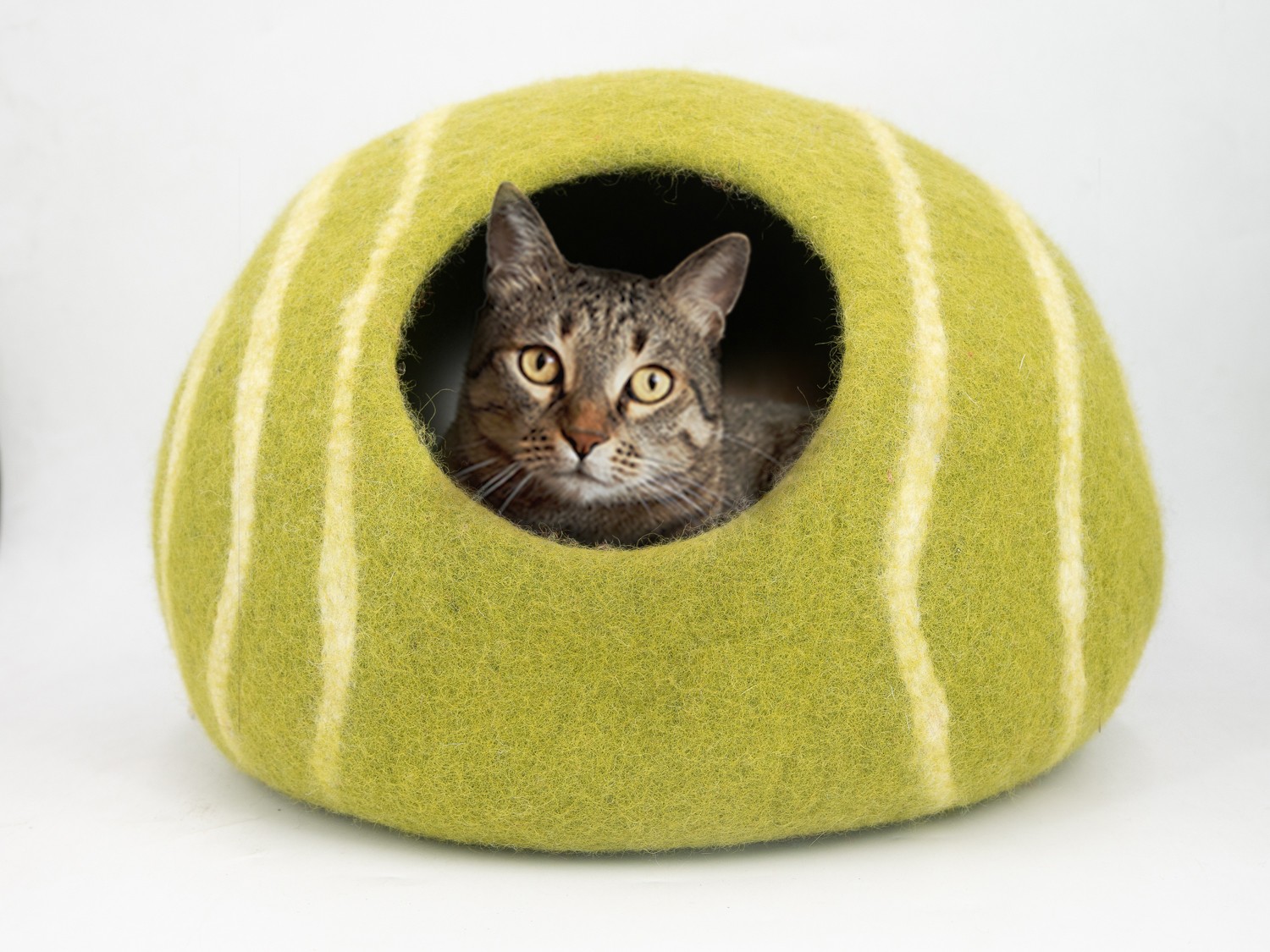 Green and White Striped Cat House