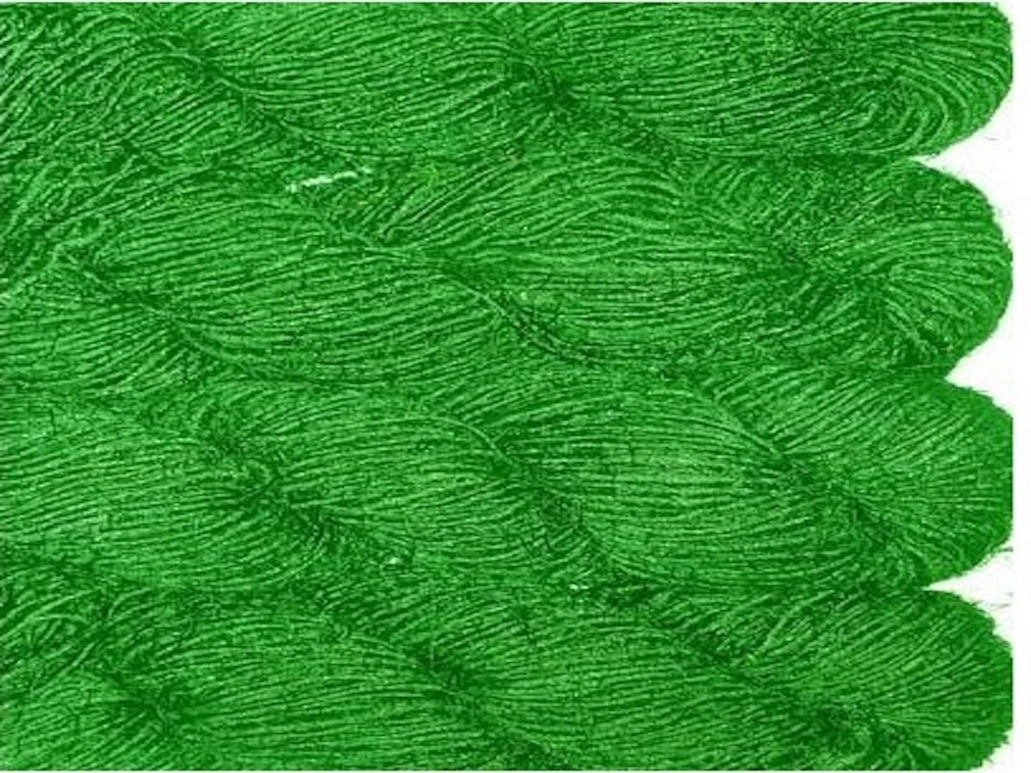 Solid green recycled silk yarn Grade B