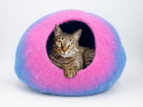 Pink and Blue Design Cat Cave