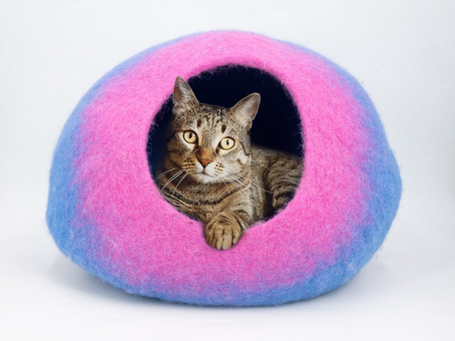 Pink and Blue Design Cat Cave