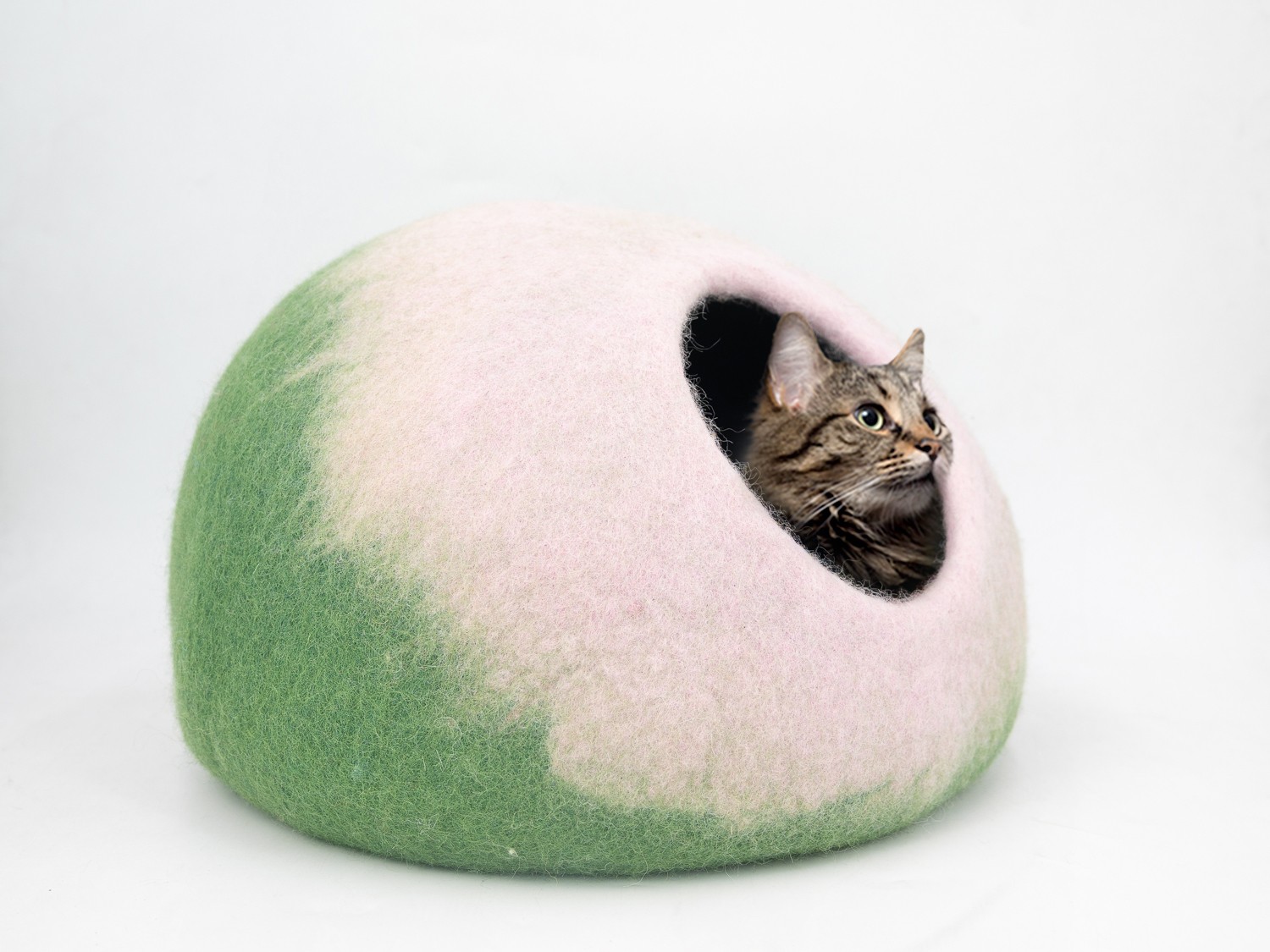 Green Felt Cat House with Peach Neck Design