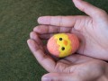 Needle Felted Chick in Egg