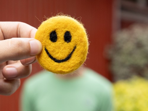 5cm Felt Smiley Emoji