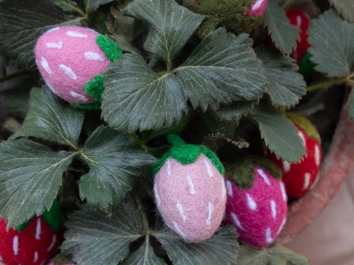 5cm Wool Felt Strawberry