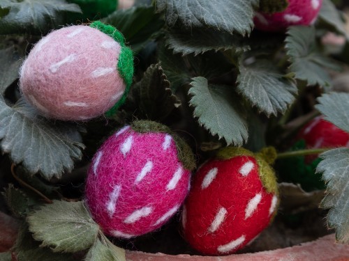 5cm Wool Felt Strawberry