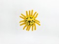 Felt Lion Chew Pet Toy Felt Lion Chew Pet Toy