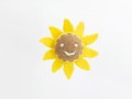 Eco-Toys Bundle: 8cm Wool Felt Pet Toys