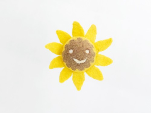 Eco-Toys Bundle: Wool Felt Pet Toys