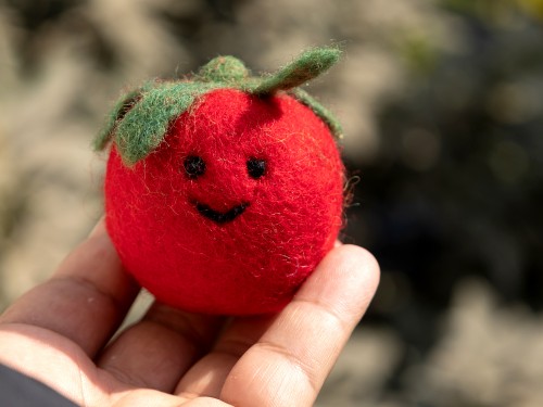 5cm Smiley Felt Tomato