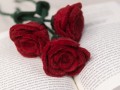 Handmade Felt Roses with Gypsy