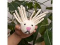 Floppy Friend with Flair Pet Toy