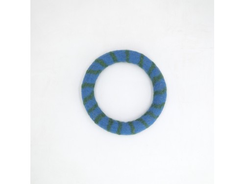 Ring Fetch Toy