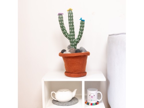 Felt Cactus with Pot and Pebbles, Tea Coasters