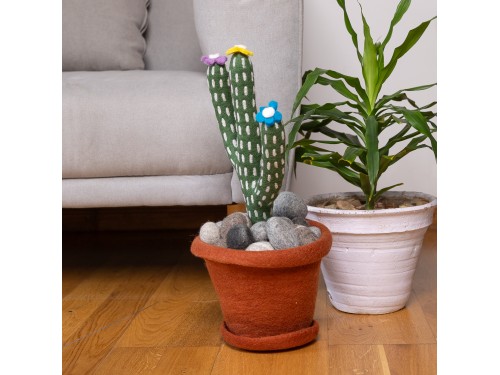 Felt Cactus with Pot and Pebbles on Living Room with Sofa and Real Plant and Vase