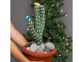 Holding Felt Cactus with Pot and Pebbles ahead of Christmas Tree