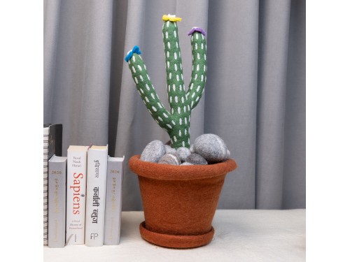 Felt Cactus with Pot and Pebbles beside some famous books.