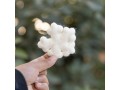 Handmade Wool Felt Snowflake