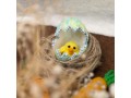 Wool Felt Hatching Egg with Chick