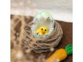 Wool Felt Hatching Egg with Chick
