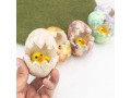 Wool Felt Hatching Egg with Chick