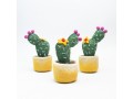 Wholesale Felt Succulents & Cactus Plants