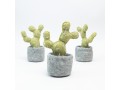Wholesale Felt Succulents & Cactus Plants
