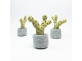 Wholesale Felt Succulents & Cactus Plants