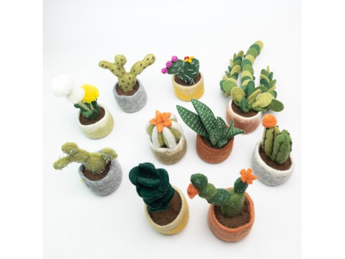 Wholesale Felt Succulents & Cactus Plants