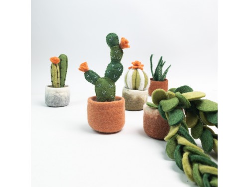 Wholesale Felt Succulents & Cactus Plants