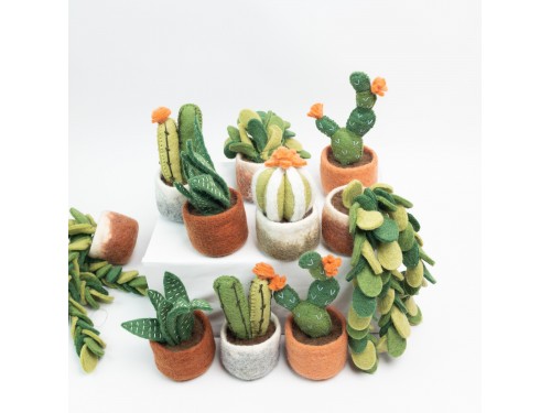 Wholesale Felt Succulents & Cactus Plants