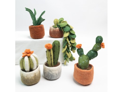 Wholesale Felt Succulents & Cactus Plants