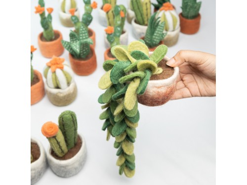 Wholesale Felt Succulents & Cactus Plants