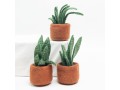 Wholesale Felt Succulents & Cactus Plants