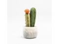 Wholesale Felt Succulents & Cactus Plants
