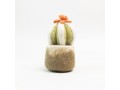 Wholesale Felt Succulents & Cactus Plants