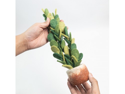 Wholesale Felt Succulents & Cactus Plants